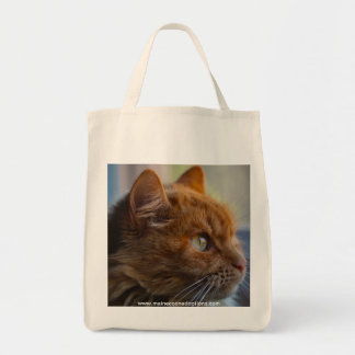 Canvas Grocery Bag, Main Coon adoption cat Tote Bag