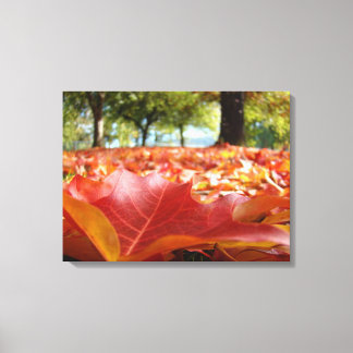 Canvas nature Photography Red Autumn Leaves Fall Print