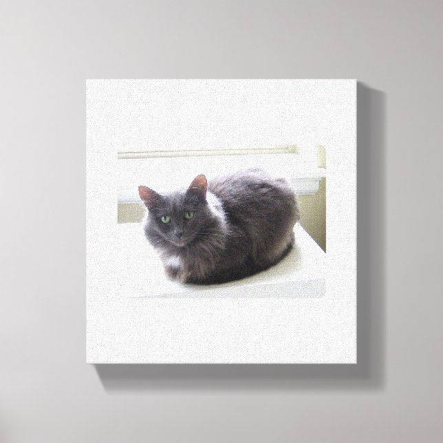 Canvas Print (Front)