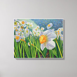 Canvas Print - Dancing Daffodils