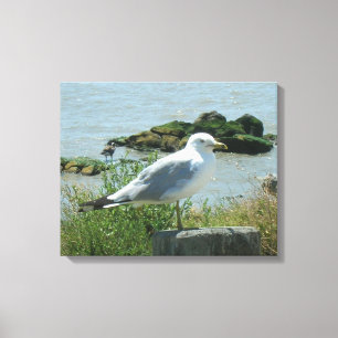 Canvas Print - Gull on Piling