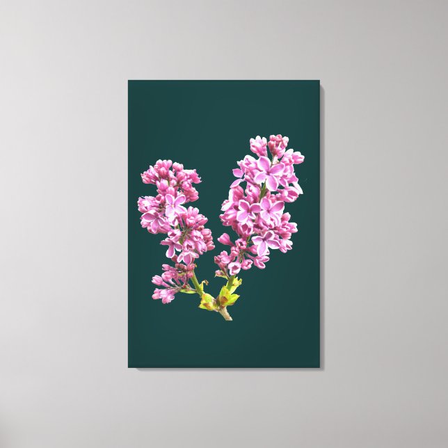 Canvas Print - Lilac Blossoms (Front)