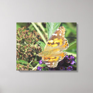 Canvas Print - Orange Butterfly