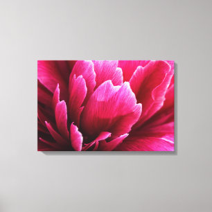 Canvas Print Pink Peony Flower Petals