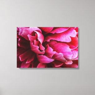 Canvas Print Pink Peony Petals