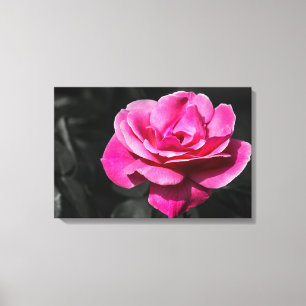 Canvas Print Pink Rose Eleganace