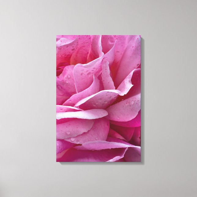 Canvas Print Pink Rose Petals And Dew Drops (Front)