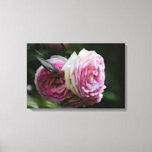 Canvas Print Pink Roses - Blushing Duet