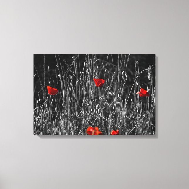 Canvas Print - Red Solitude Poppies (Front)