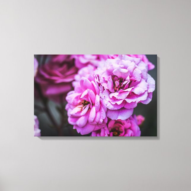 Canvas Print Soft Pink Roses  (Front)