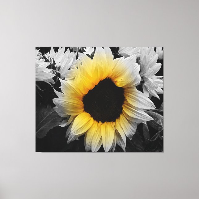 Canvas Print - Sunflower (Front)