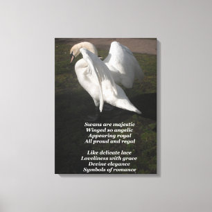 Canvas Print Swans Are Majestic By Ladee Basset