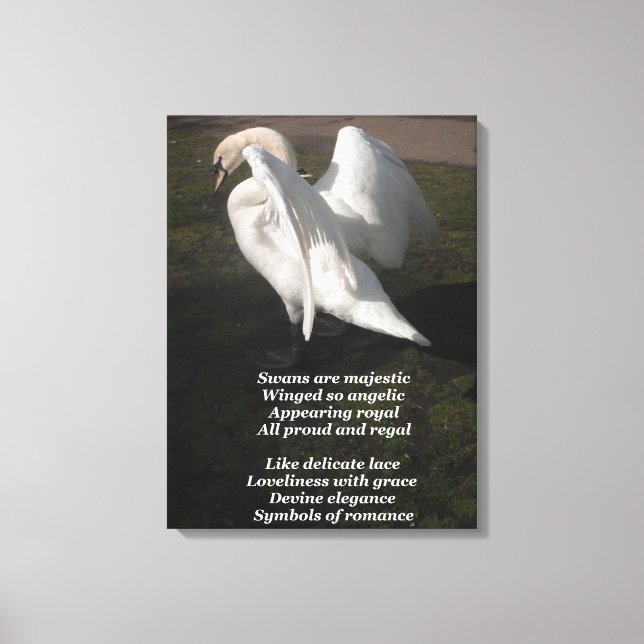 Canvas Print Swans Are Majestic By Ladee Basset (Front)
