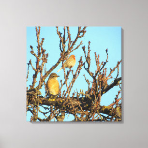 Canvas Print - Two Birds in Branches