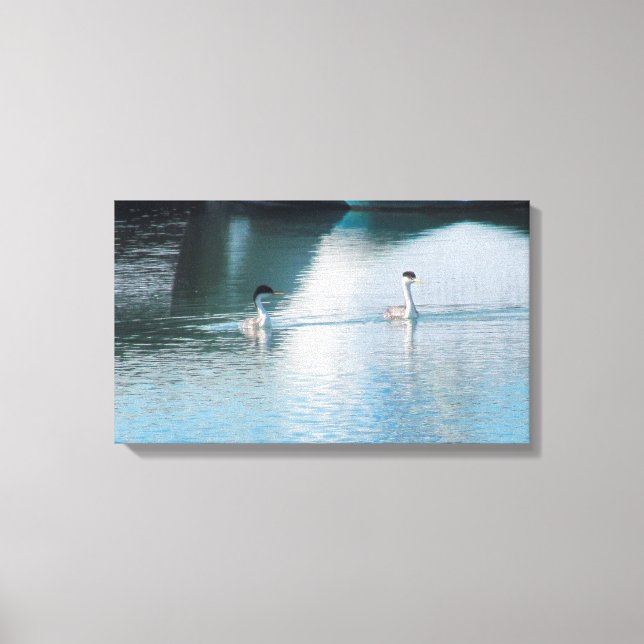Canvas Print - Western Grebe in Harbour (Front)