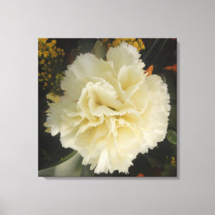 Canvas Print White Carnation Beauty