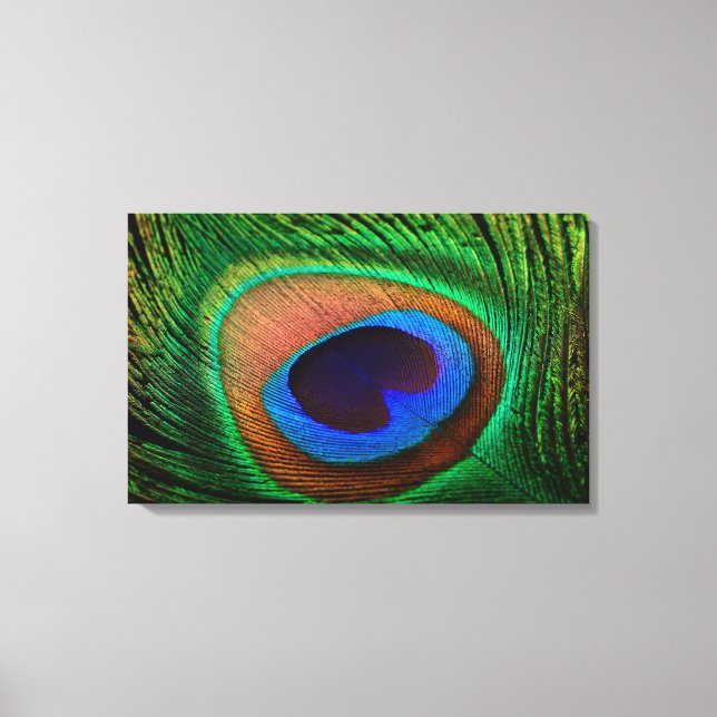 Canvas print with colorful peacock feather image (Front)
