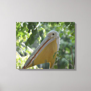 Canvas print with funny pelican