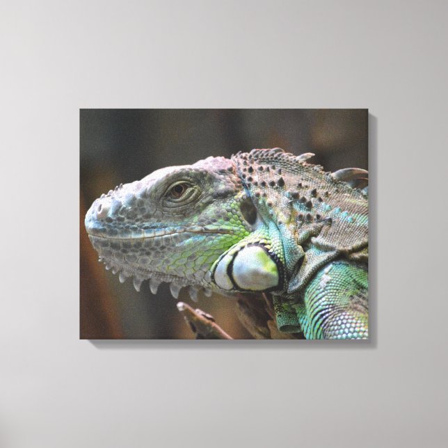 Canvas Print with head of colourful Iguana lizard (Front)