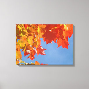 Canvas Prints Orange Autumn Fall Leaves