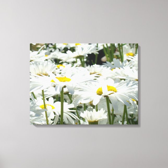 Canvas prints White Daisy Flowers Floral artwork (Front)