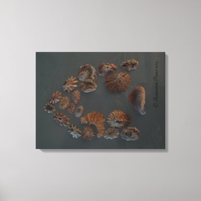 Canvas (SeaShell House) RFPMDesigns ©️2012 Print (Front)