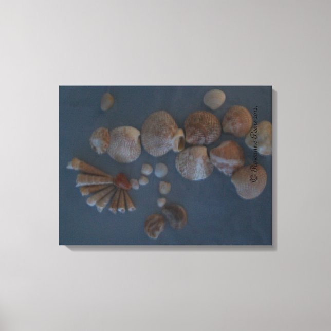 Canvas (SeaShell Lady) RFPMDesigns ©️2012 Print (Front)