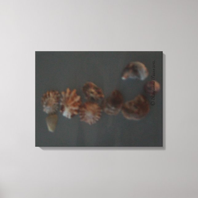 Canvas (SeaShell SeaHorse) RFPMDesigns ©️2012 Print (Front)