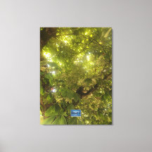 Canvas (Sun Green Tree 1) RFPMDesigns ©️2021/24