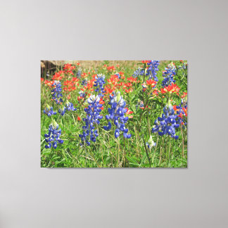 Canvas Texas Wildflowers Bluebonnets Paintbrushes