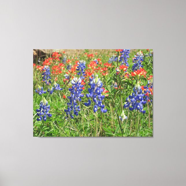 Canvas Texas Wildflowers Bluebonnets Paintbrushes (Front)
