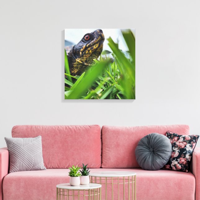 Canvas Turtle Close Up Print (Insitu(LivingRoom))
