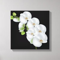 Canvas Wall Art-White Orchids