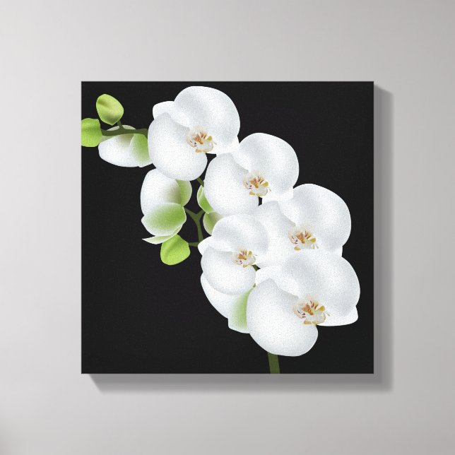 Canvas Wall Art-White Orchids Print (Front)