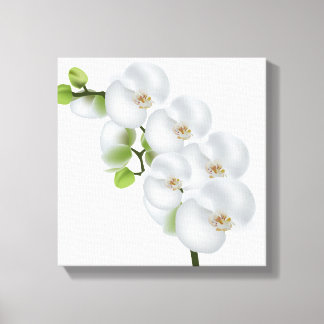 Canvas Wall Art-White Orchids Print