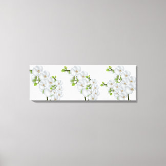 Canvas Wall Art-White Orchids Print