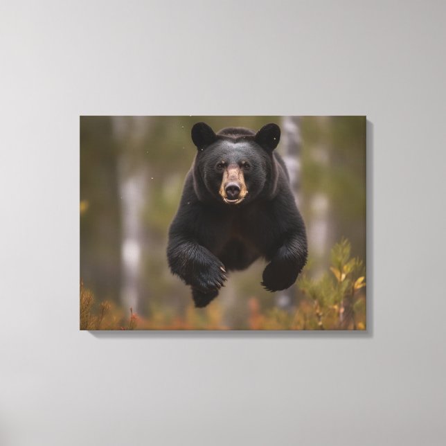 Canvas Wall Art-Yellowstone Black Bear (Front)
