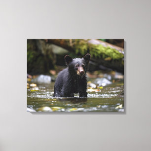 Canvas Wall Art-Yellowstone Black Bear Cub