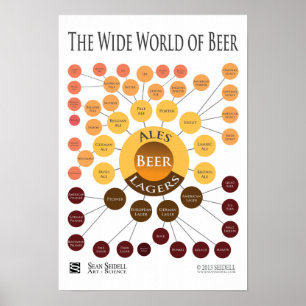 Canvas Wide World of Beer Infographic Print