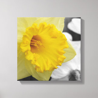 canvas with yellow narcissus print