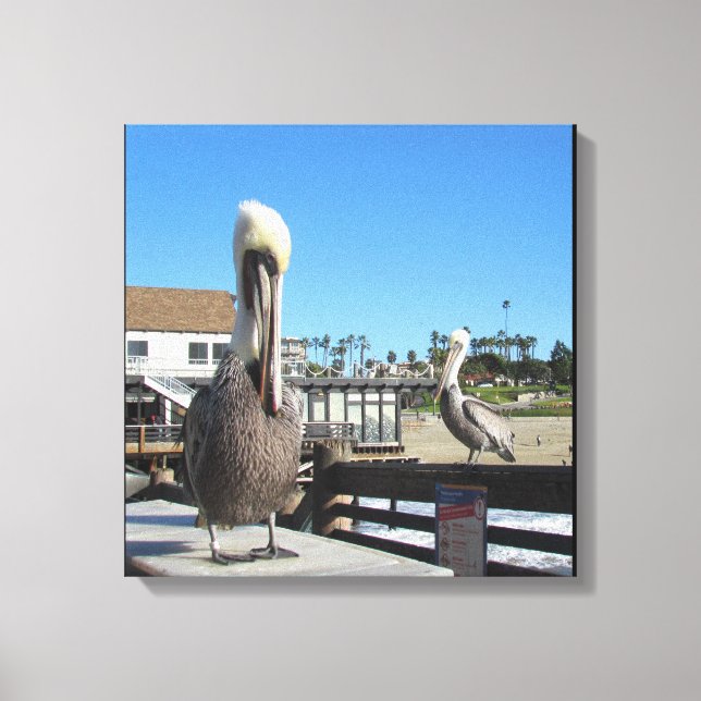 Canvas Wrap - Pelicans on Pier (Front)
