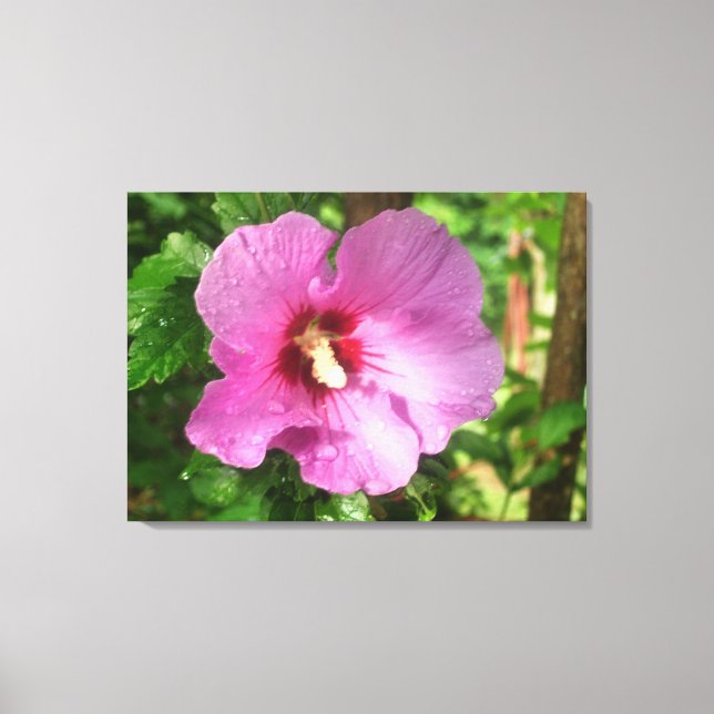 Canvas - Wrapped - Pink Rose of Sharon (Front)