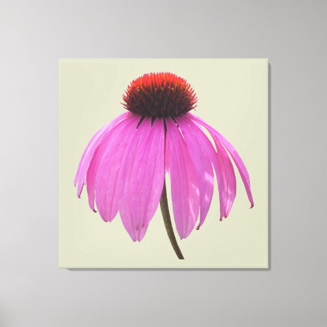 Canvas - Wrapped - Purple Coneflower - Echinacea (Front)