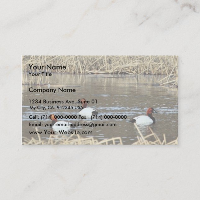 Canvasback drakes business card (Front)