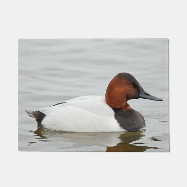Canvasback Duck Drake Doormat (Front)
