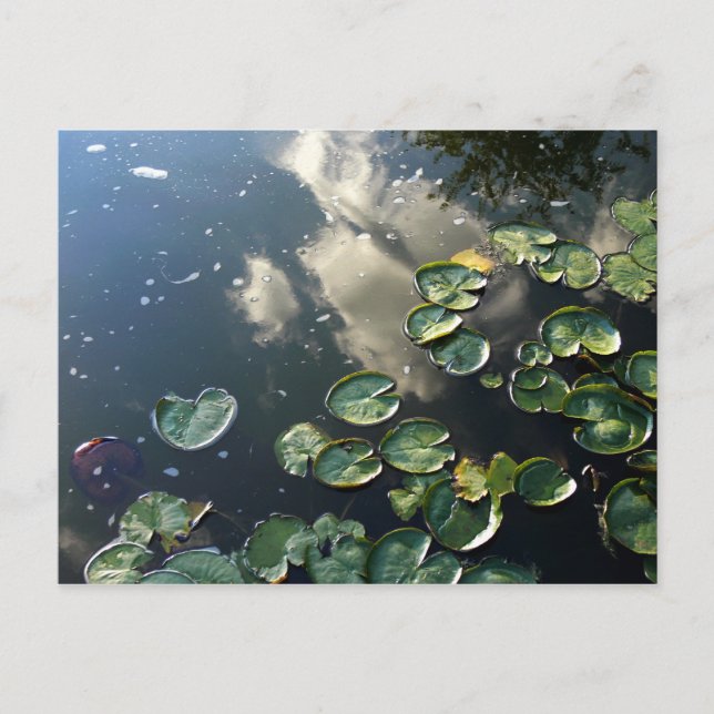 Canyon Lakes Postcard (Front)