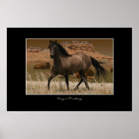 CANYON MUSTANG Horse Conservation Art Print