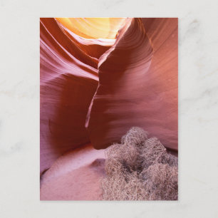 Canyon of many colours postcard