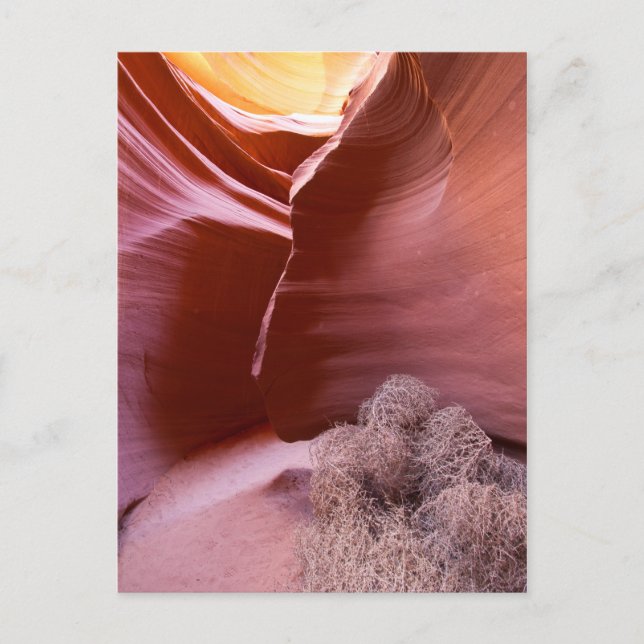 Canyon of many colours postcard (Front)