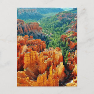 Canyon Postcard